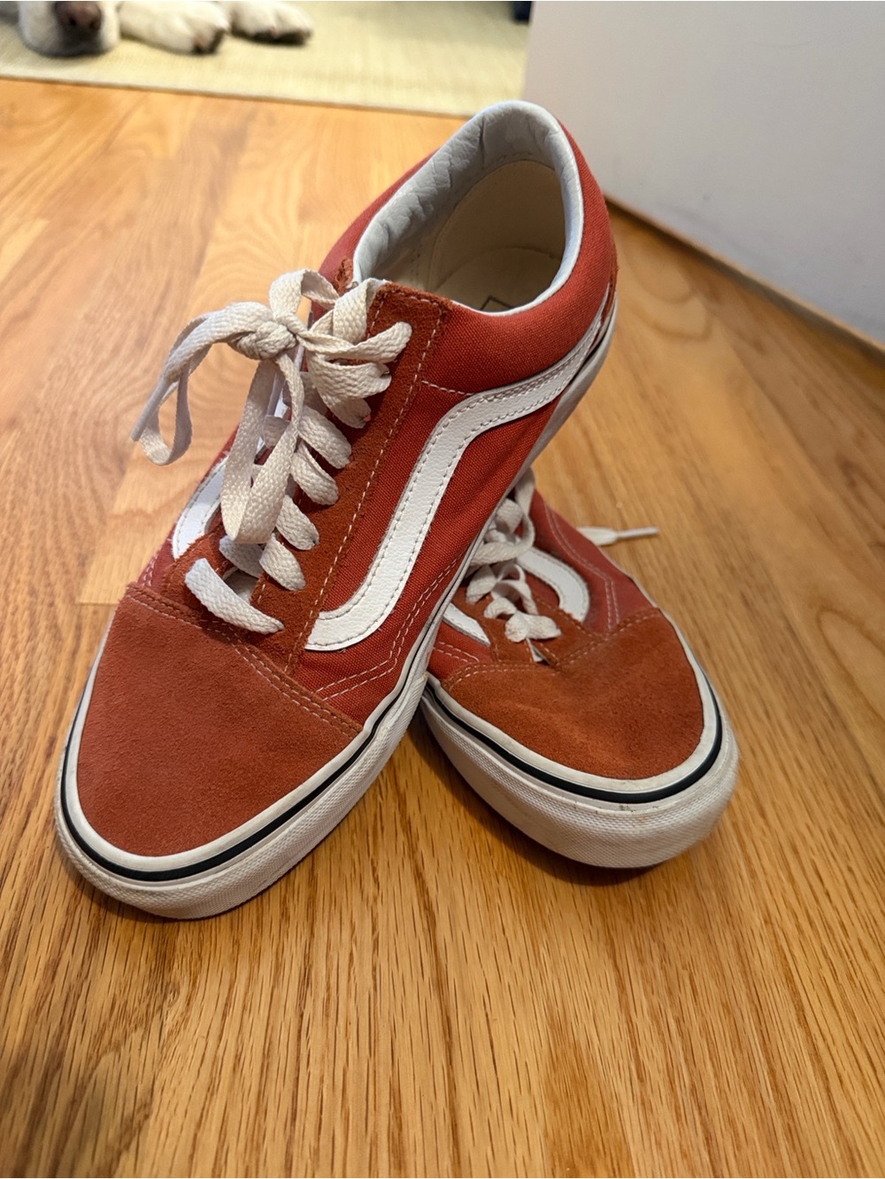 Vans Kids Red Canvas Old Skool with White Stripe